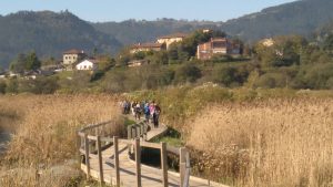 Senderismo y Marcha Nórdica: Gautegiz-Arteaga, castillos, mareas y cavernas ocultas